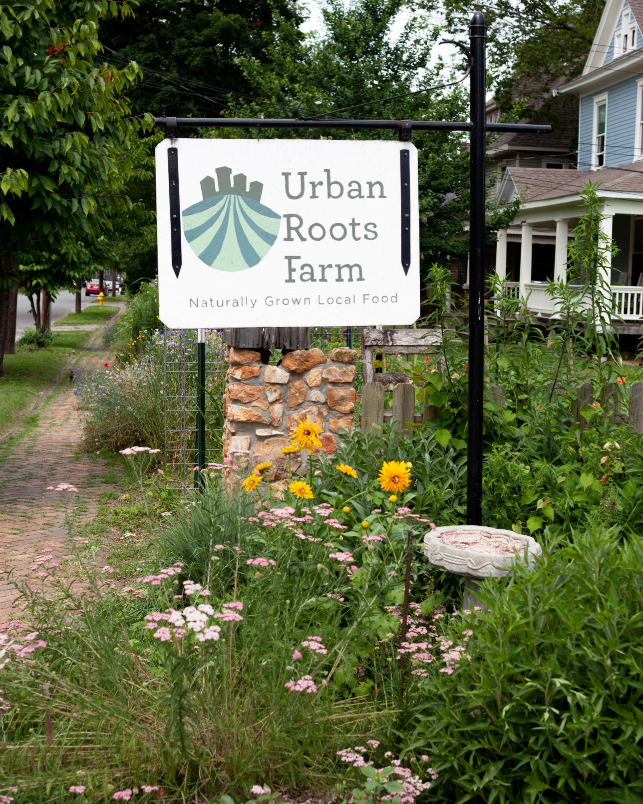Urban Roots sign